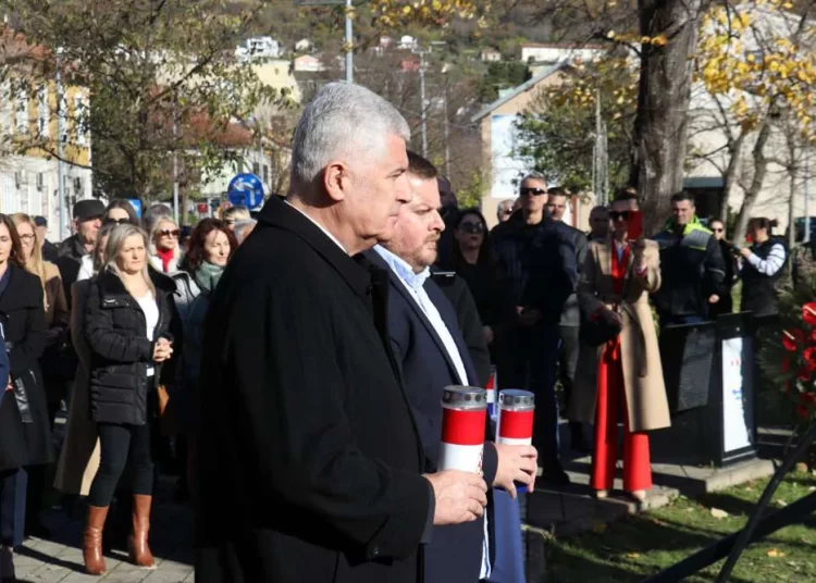 Foto: FENA / Branka Soldo