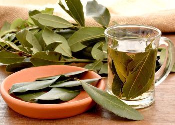 Recept za prirodan sirup pred kojim će pokleknuti i najuporniji kašalj