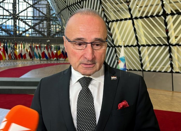 Grlić Radman: Treba ohrabriti proeuropske političare u BiH