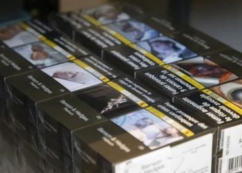 Francuska: Državljanin BiH osuđen na 10 godina zbog uloge u švercu 77 tona cigareta