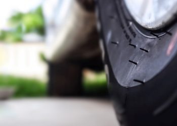 Znate li čemu služe dlačice na gumi? Njihovo je postojanje od iznimne važnosti