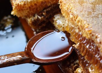 Žličica meda prije spavanja dovodi do sedam pozitivnih promjena u organizmu