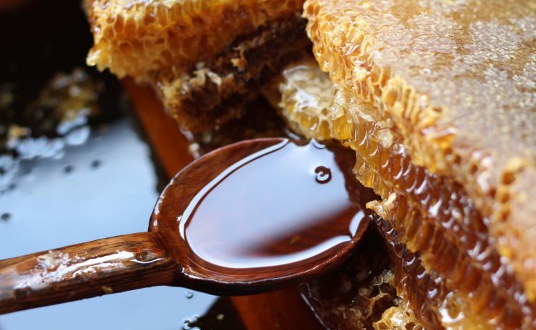 Žličica meda prije spavanja dovodi do sedam pozitivnih promjena u organizmu