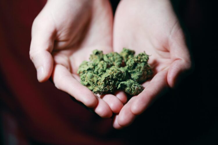 Nakon 40 godina zabrane: Legalizacija kanabisa u Njemačkoj od 1. travnja, neki negoduju