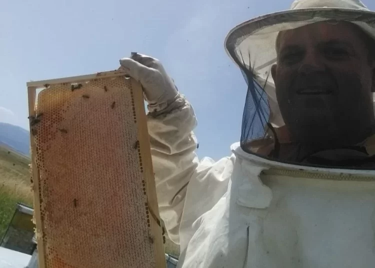 Širokobriješkog veterinara Grgu nagovorili su da krene u pčelarstvo, sada njegov med osvaja zlatne medalje