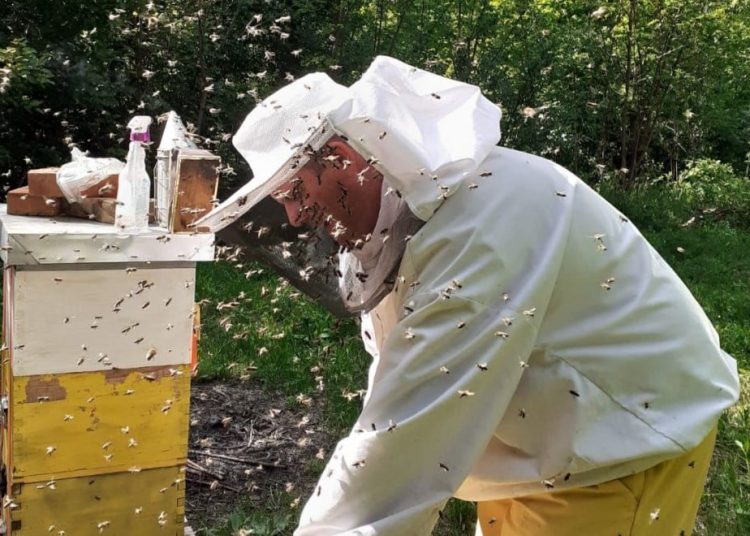 Širokobriješkog veterinara Grgu nagovorili su da krene u pčelarstvo, sada njegov med osvaja zlatne medalje