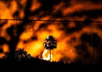 Klimatolog: Kad biste znali ono što ja znam, i vi biste bili prestravljeni