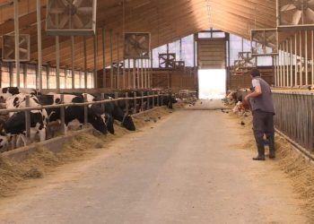 Farma kod Kalesije proizvodi struju iz organskog otpada