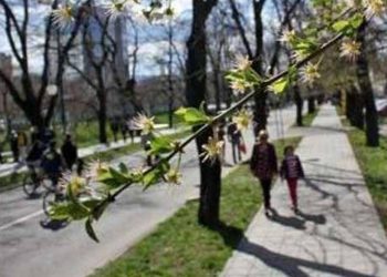 Trend se nastavlja: Veljača 2024. globalno najtoplija do sada