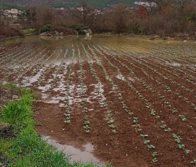 Foto/video: Višednevne padaline odsjekle dijelove Ljubuškog od ostatka općine