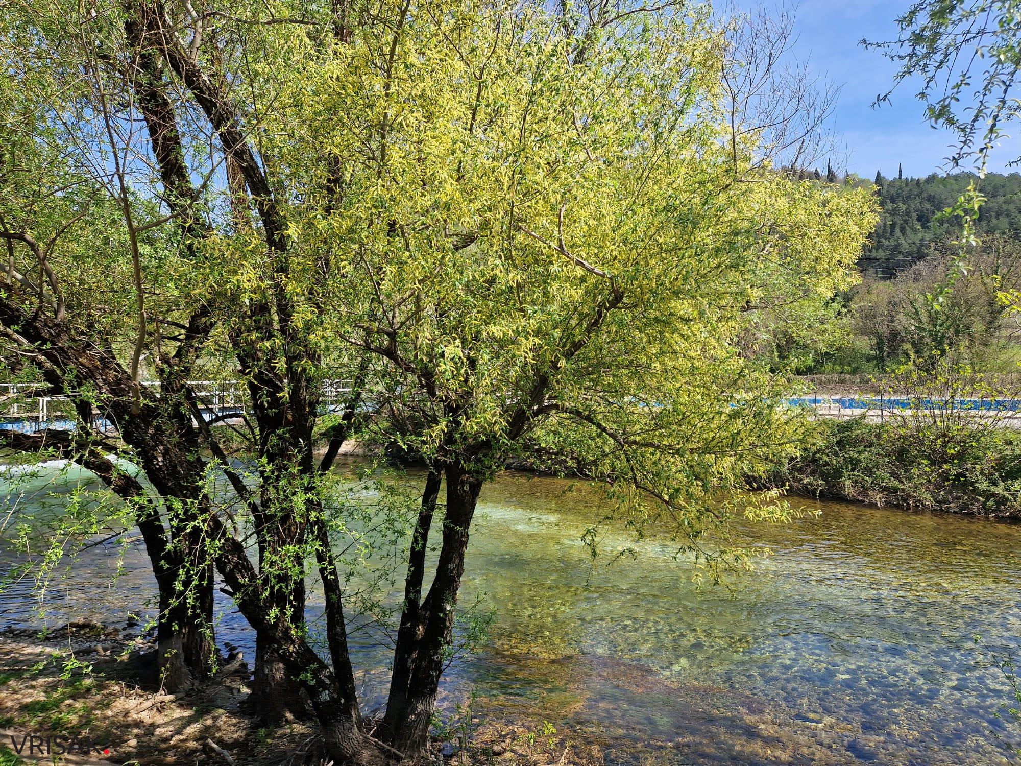 Proljeće uz rijeku Lišticu (FOTO)