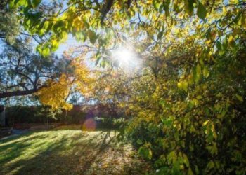 Nova vremenska prognoza za travanj: ‘Padat će rekordi’