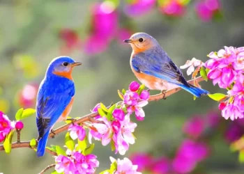 Za vikend ljetne temperature