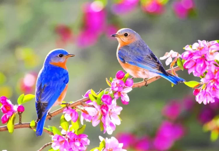 Za vikend ljetne temperature