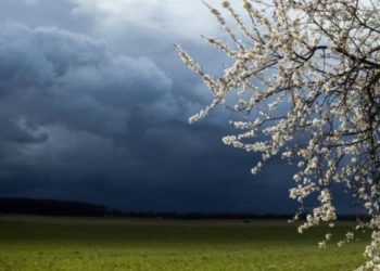 Vremenska prognoza do 11. lipnja: Ima li kraja kišnim danima?