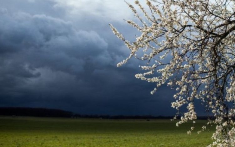 Vremenska prognoza do 11. lipnja: Ima li kraja kišnim danima?