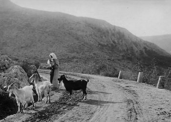 Evo kako je Žovnica izgledala 1903. godine