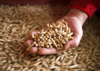 Europsko vijeće za pelet upozorilo: Sve češće prevare kupaca peleta u BiH, evo o kakvim se prevarama radi