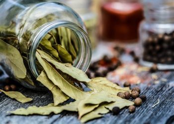 Lovorov list prelijte maslinovim uljem, oduševit ćete se koliko je ovaj lijek dragocjen