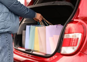 Fizičke osobe u BiH imaju pravo uvoza nekomercijalne robe do 300 KM