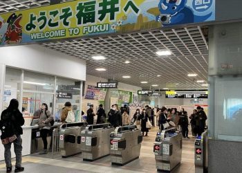 Japanom se širi smrtonosna bolest, ove godine zabilježeno 977 slučajeva