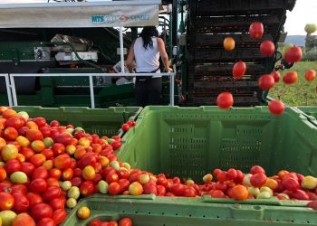 Nastavljeni radovi na Olimpijskom bazenu u Mostaru, pogledajte dokle se stiglo
