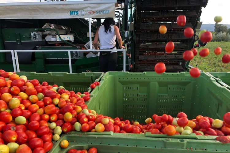 Nastavljeni radovi na Olimpijskom bazenu u Mostaru, pogledajte dokle se stiglo