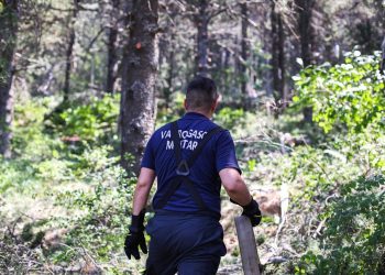 Na Blidinju će biti instalirani senzori za rano otkrivanje požara