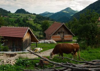 Iseljavanje stanovništva nastoje zaustaviti sufinanciranjem kupnje seoskih kuća s okućnicom