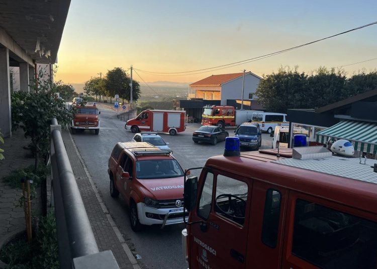 Vatrogasci iz ŽZH pomagali gasiti požar na Križevcu