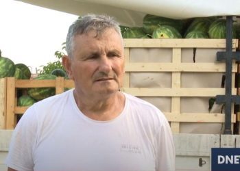 Prosječan urod lubenice u Hercegovini