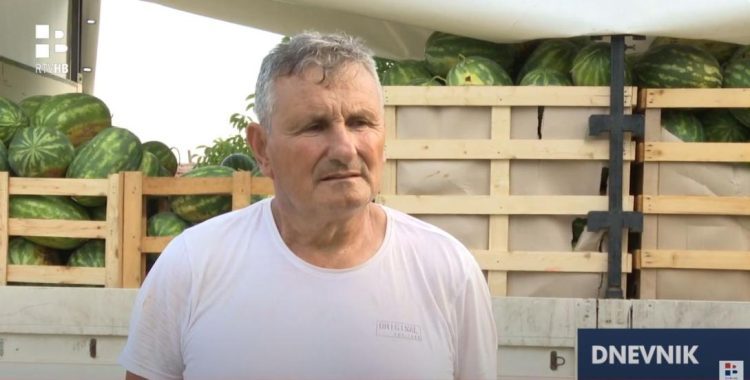 Prosječan urod lubenice u Hercegovini