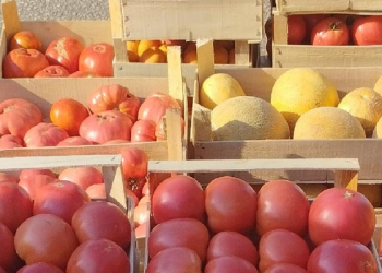 Kupujemo li uistinu domaće proizvode? (VIDEO)