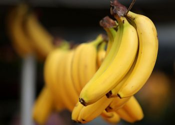 Trik uz koji će banane ostati svježe dva tjedna