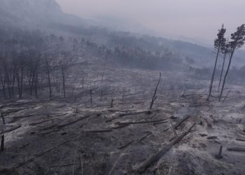 Foto: Ovako danas izgleda Park prirode Biokovo