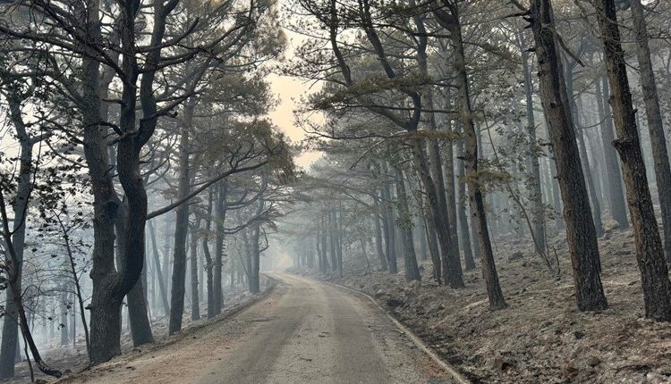 Foto: Ovako danas izgleda Park prirode Biokovo