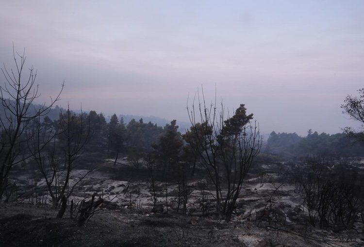 Foto: Ovako danas izgleda Park prirode Biokovo