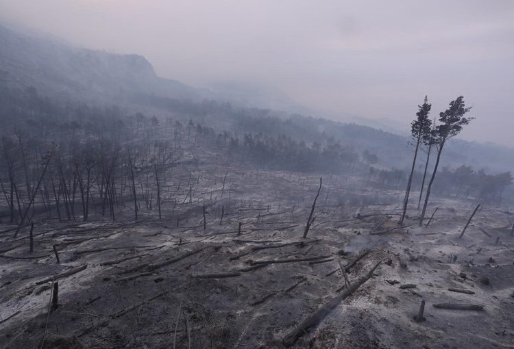 Foto: Ovako danas izgleda Park prirode Biokovo