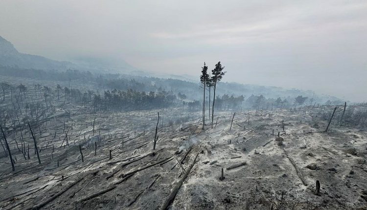 Foto: Ovako danas izgleda Park prirode Biokovo