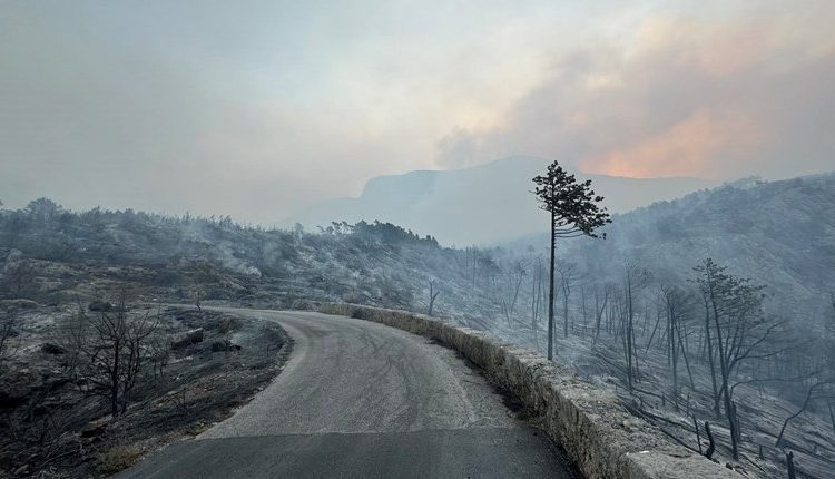 Foto: Ovako danas izgleda Park prirode Biokovo