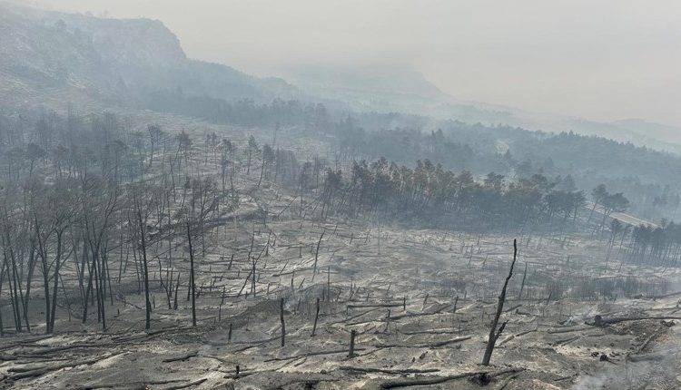Foto: Ovako danas izgleda Park prirode Biokovo