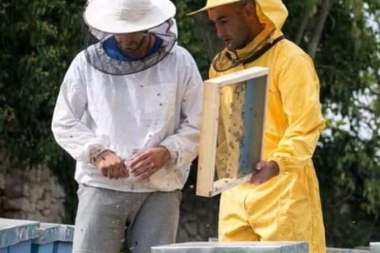 Matičnu mliječ iz Dračeva traže ne samo u Hrvatskoj već i mnogo šire