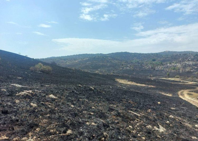Požar u Rakitnu je pod nazdorom, izgorjelo 545 hektara