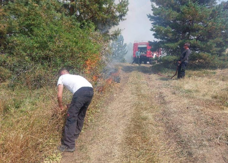 Požar u Rakitnu je pod nazdorom, izgorjelo 545 hektara