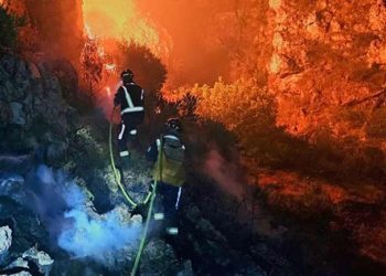 Požari u Dalmaciji stavljeni pod kontrolu