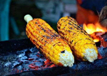 Ukusna ljetna delicija: Evo kako napraviti najbolji pečeni kukuruz