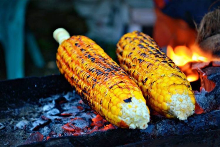Ukusna ljetna delicija: Evo kako napraviti najbolji pečeni kukuruz