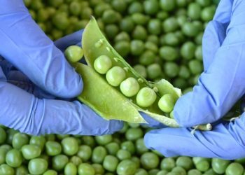 Sezona je ukusne namirnice koja vraća šećer u normalu i smanjuje kolesterol