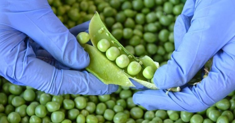 Sezona je ukusne namirnice koja vraća šećer u normalu i smanjuje kolesterol