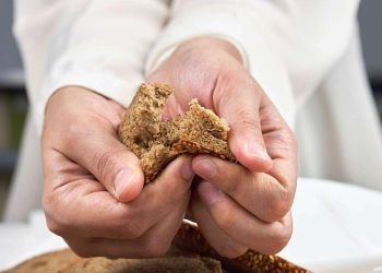 Pravila za sigurnost hrane u ljetnim mjesecima (VIDEO)